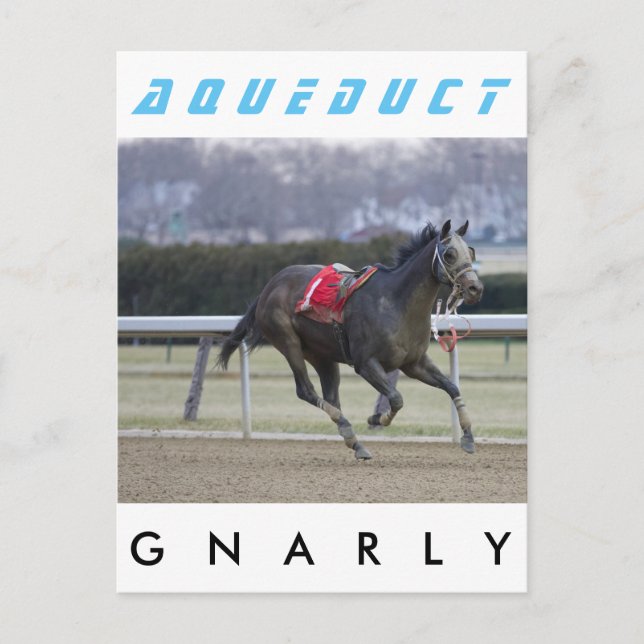 Carte Postale Gnal (Devant)