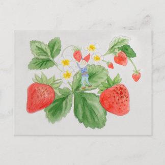 Carte postale Gnome aux fraises