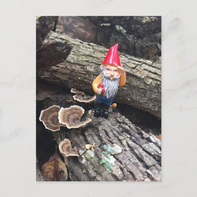 Carte Postale Gnome d'automne (Devant)