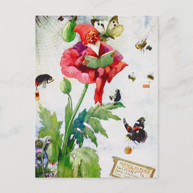 Carte Postale Gnome in a poppy flower (Devant)