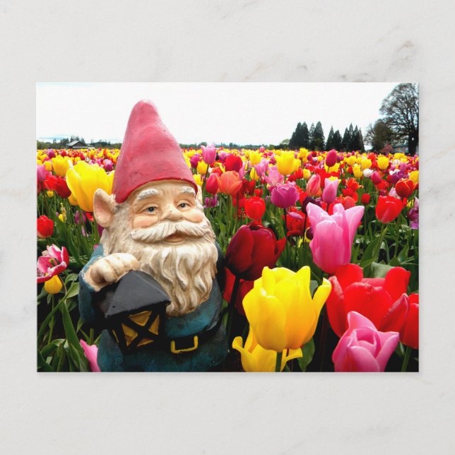 Carte Postale Gnome Petals (Devant)