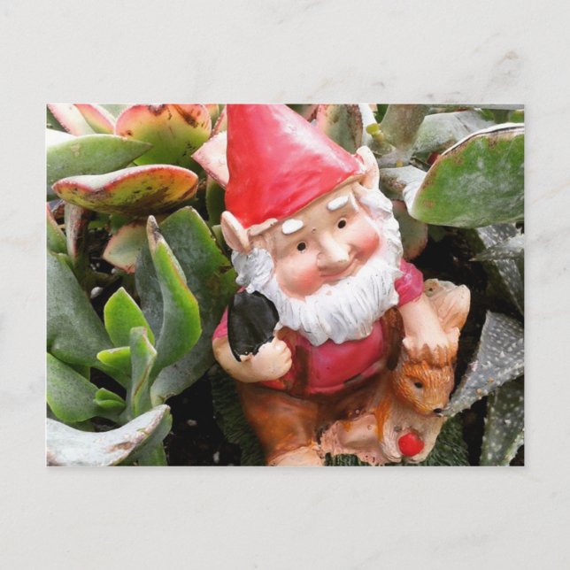Carte Postale Gnome se cachant dans les succulents (Devant)