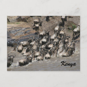 Carte Postale gnou escaladant kenya