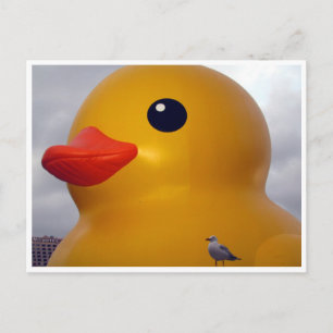 Carte Postale goéland