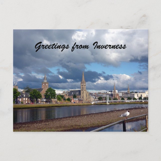 Carte Postale goéland de salutation inverness (Devant)