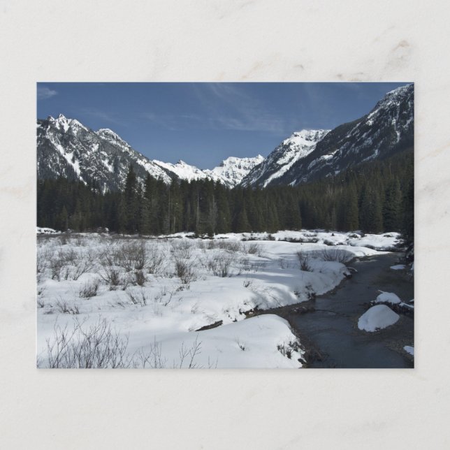 Carte Postale Gold Creek (Devant)