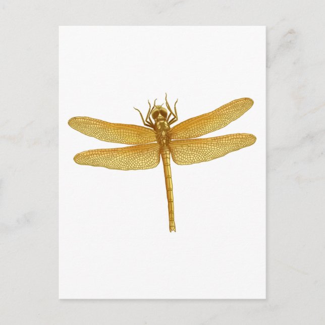 Carte postale Gold Dragonfly (Devant)