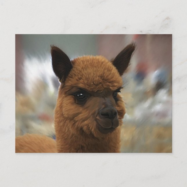 Carte Postale Golden Alpaca (Devant)