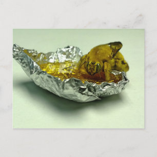 Carte Postale Golden Bumble Bee Mange du miel