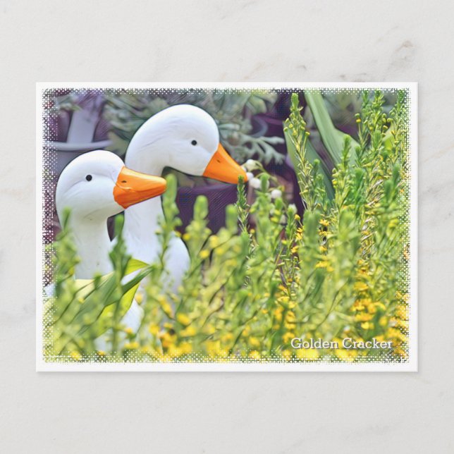 Carte Postale Golden Cracker (Devant)