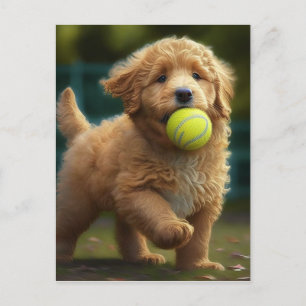 Carte Postale Golden Doodle Chiot Joue Ball