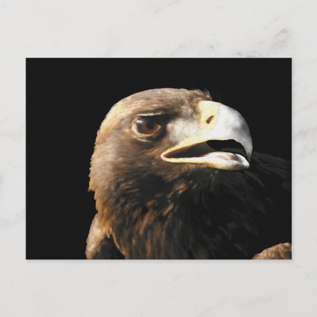 Carte postale Golden Eagle Portrait (Devant)