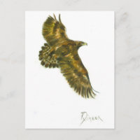 Carte postale Golden Eagle Wildlife