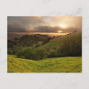 Carte Postale Golden Foggy Sunset, Californie