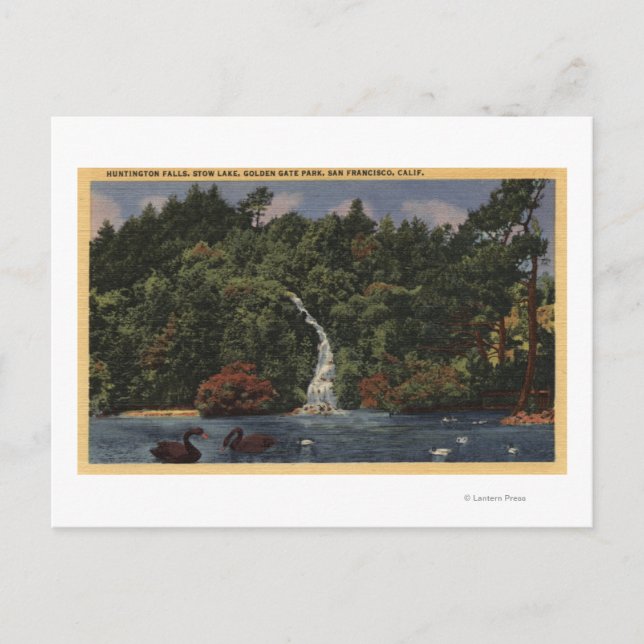 Carte Postale Golden Gate Park, Stow Lake, Huntington Falls (Devant)