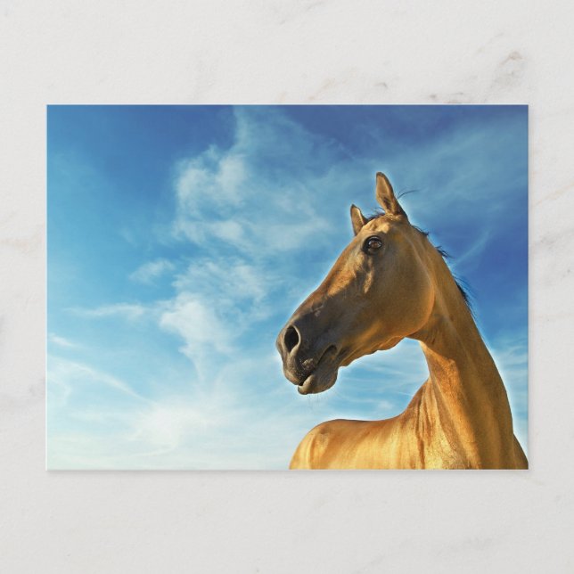 Carte Postale golden horse of Turkmenistan (Devant)