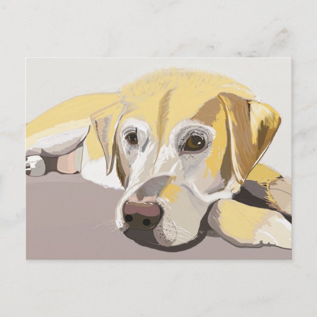 Carte Postale Golden Labrador (Devant)