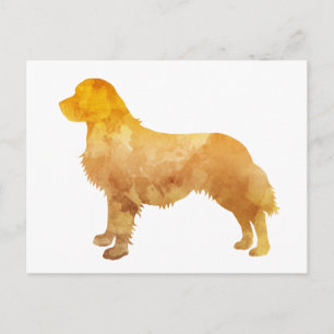 Carte Postale Golden Retriever