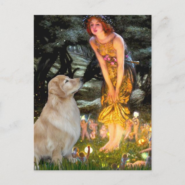 Carte Postale Golden Retriever 11 - Mid Eve (Devant)