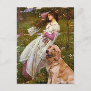 Carte Postale Golden Retriever 1 - Fleurs à vent