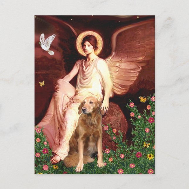 Carte Postale Golden Retriever 9 - Ange assis (Devant)