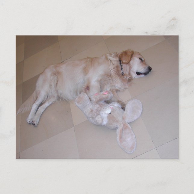 Carte Postale Golden Retriever Avec Lapin De Pâques (Devant)