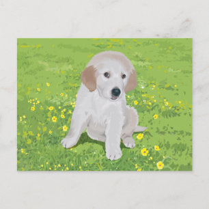 Carte postale Golden Retriever Chien Chien