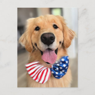 Carte Postale Golden Retriever Chien dans la Cravate de la Bow F