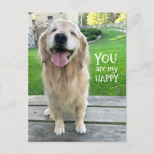 Carte Postale Golden Retriever Chien Vous Êtes Mon Heureux (Devant)