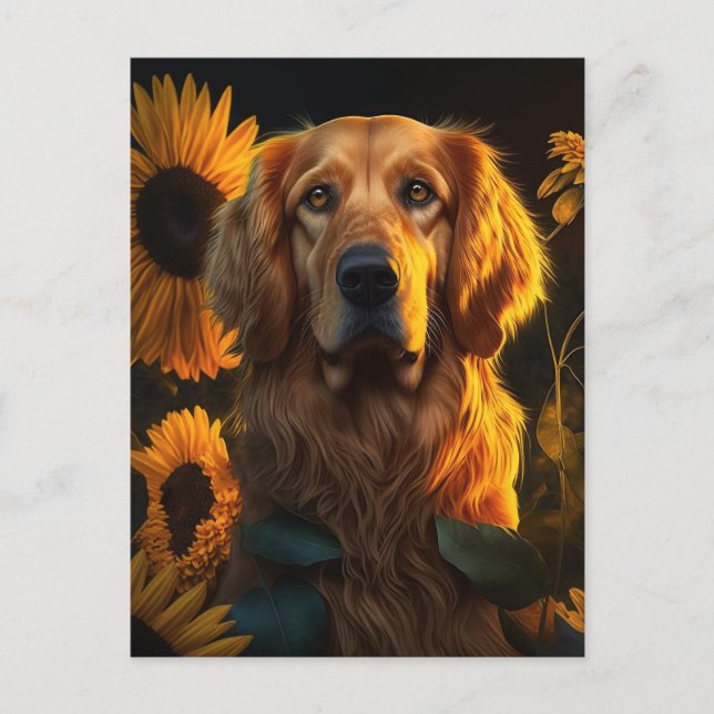 Carte Postale Golden Retriever dans le champ de tournesol - Cart (Devant)
