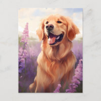 Golden Retriever dans le champ Lavender