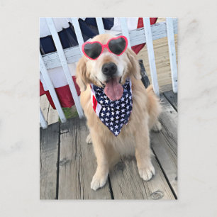 Carte Postale Golden Retriever Dog dans les lunettes de fête de 