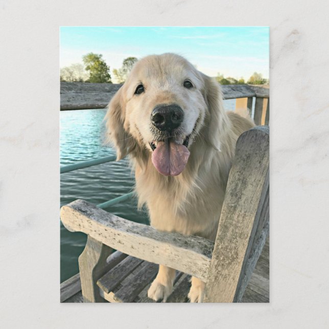 Carte Postale Golden Retriever Dog on a Dock Thinking of You (Devant)