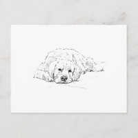 Golden Retriever endormi, Amateur de chiens, Dessi