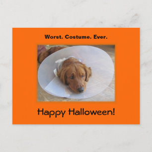 Carte postale Golden Retriever Halloween