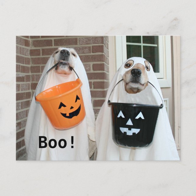 Carte Postale Golden Retriever Halloween Ghosts (Devant)