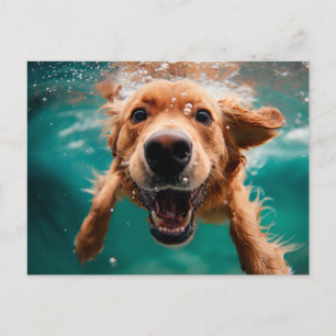 Carte Postale Golden Retriever heureux nageant sous l'eau