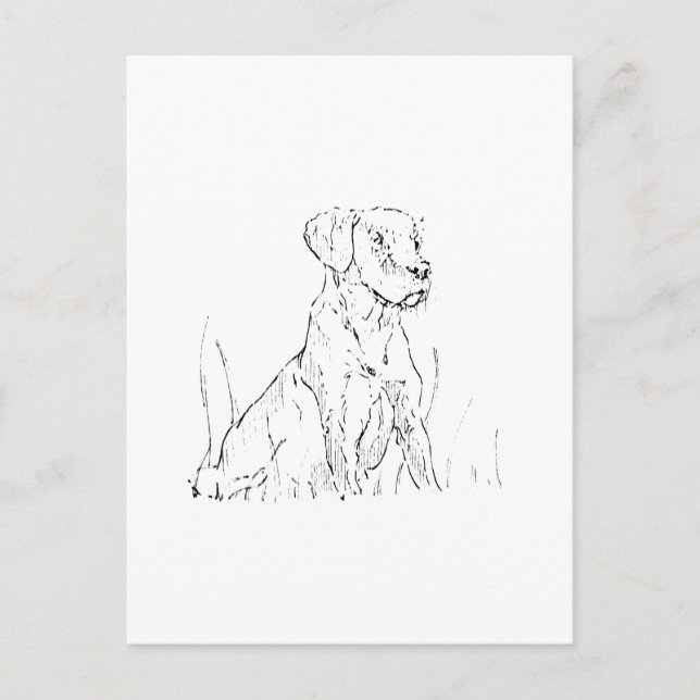 Carte postale Golden Retriever - Illustration Ink  (Devant)
