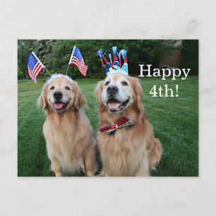 Carte Postale Golden Retriever Jour de l'Indépendance en plein a