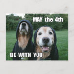 Carte Postale Golden Retriever May the 4th Be With You Parody<br><div class="desc">This parody postcard features a photograph of two golden retriever dogs dressed in sci-fi costumes,  with the saying,  "May the 4th Be With You." Customizable text on the back reads,  "Enjoy the day,  you will."</div>