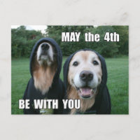 Golden Retriever May the 4th Be With You Parody