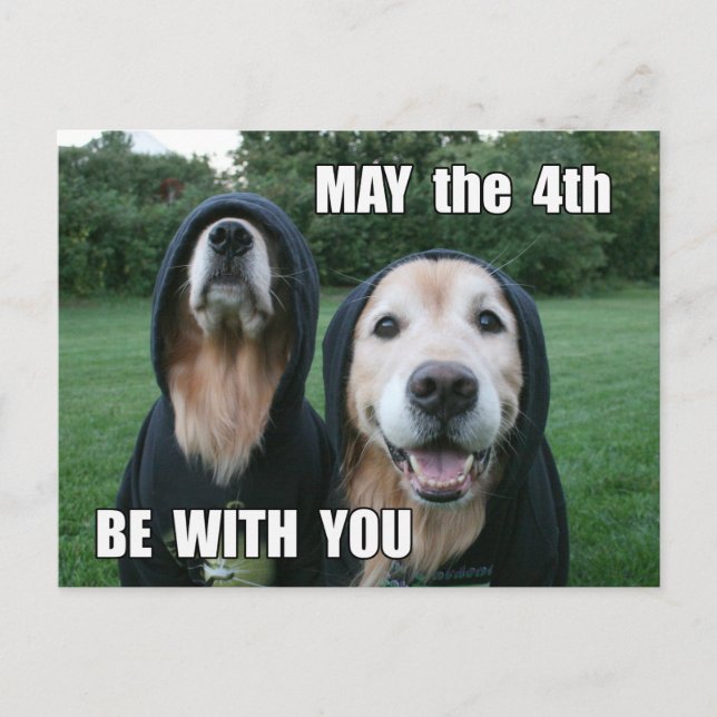 Carte Postale Golden Retriever May the 4th Be With You Parody (Devant)