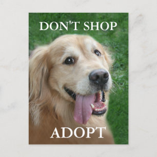 Carte Postale Golden Retriever ne pas acheter adopter Secourir