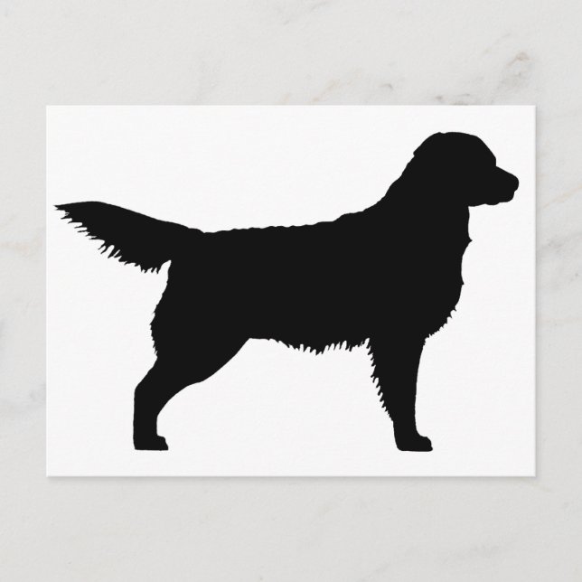 Carte Postale Golden Retriever (noir) (Devant)