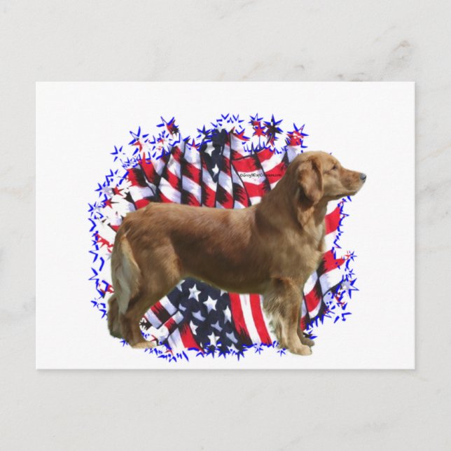 Carte Postale Golden Retriever Patriot (Devant)