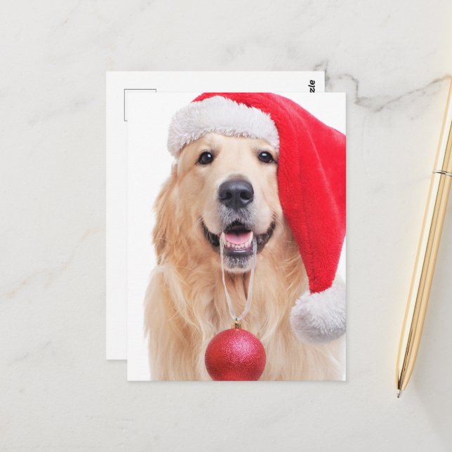 Carte Postale Golden Retriever Père Noël (Devant/Arrière en situation)