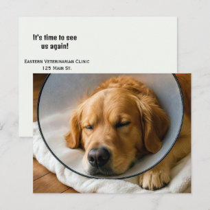 Carte Postale Golden Retriever portant un cône de la honte
