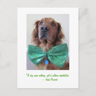 Carte Postale Golden Retriever St. Patrick's Day Postcard