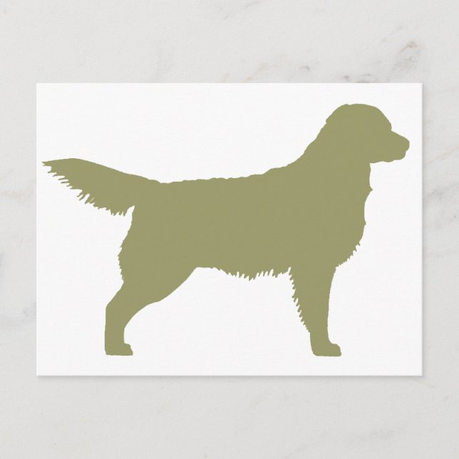 Carte Postale Golden Retriever (vert sauge) (Devant)