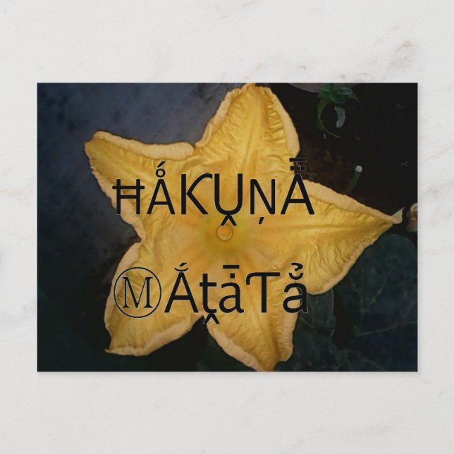 Carte Postale Golden Star Hakuna Matata (Devant)
